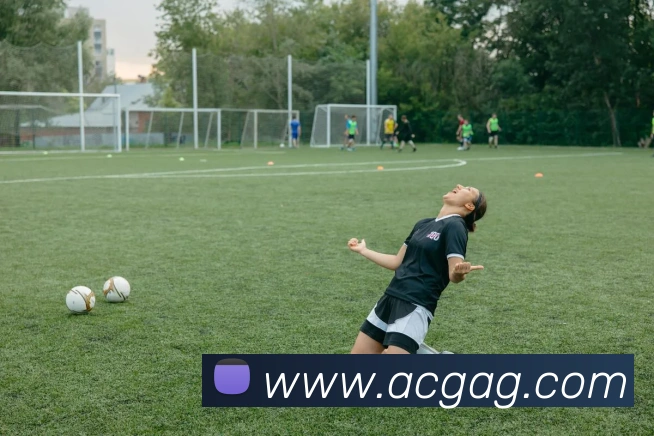 ag官网服务体系