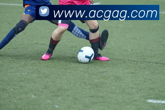 ag官网APP 体育赛事宣传图